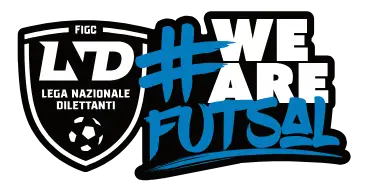 Divisione calcio a 5