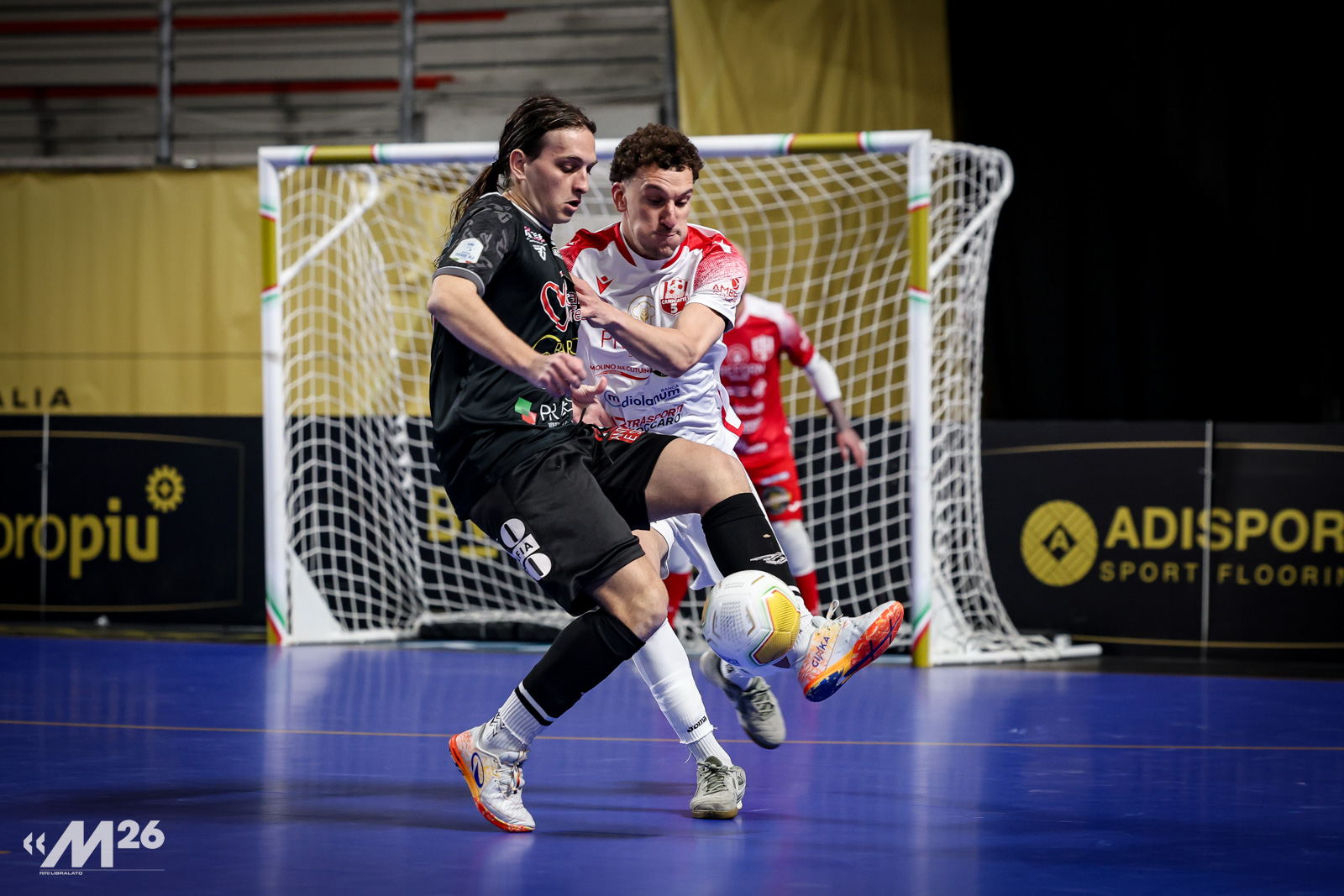 Serie A2 Élite, Coppa Italia: Vinumitaly Petrarca di ripresa, è ancora in finale: segui LIVE e DIRETTE YOUTUBE. FOTOGALLERY