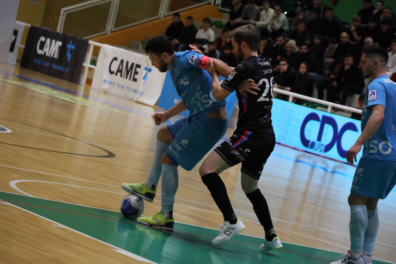 Serie A KINTO, il Collegio di Garanzia del CONI respinge il ricorso dell’Ecocity Genzano. Playoff scudetto al via il 9 giugno: il programma dei quarti